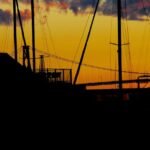 Portfolio -Lionsgate