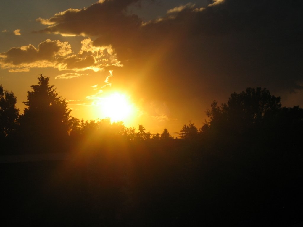 Portfolio -Calgary Sunset