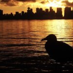 Portfolio- Burrard Inlet Silhouette